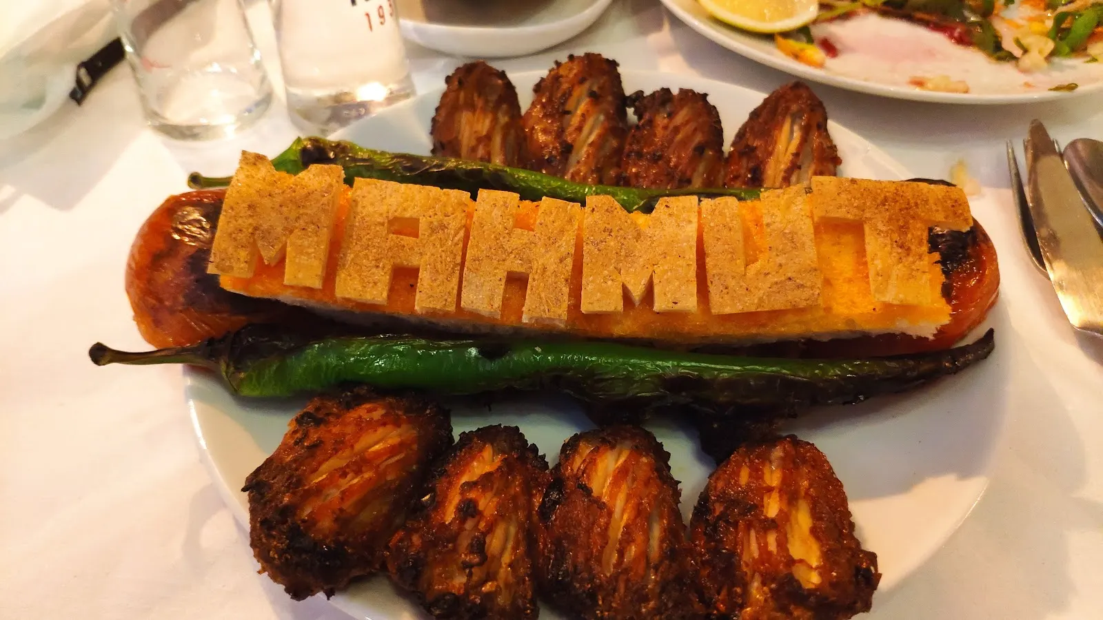 Kanatçı Arkadaş fotoğraf 2