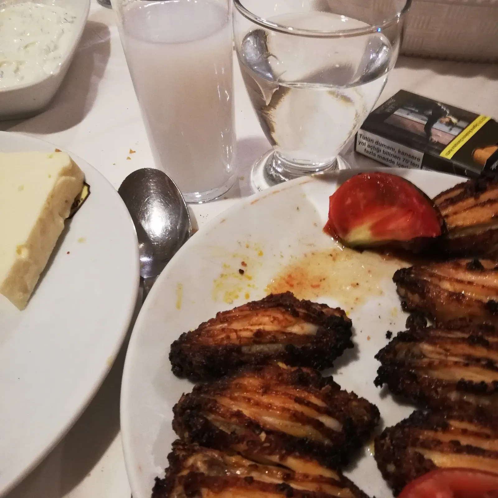 Kanatçı Arkadaş fotoğraf 3