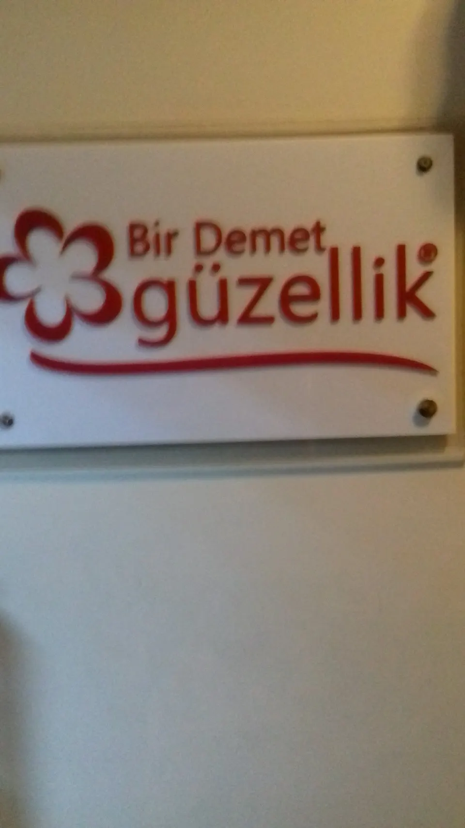 Bir Demet Güzellik fotoğraf 2