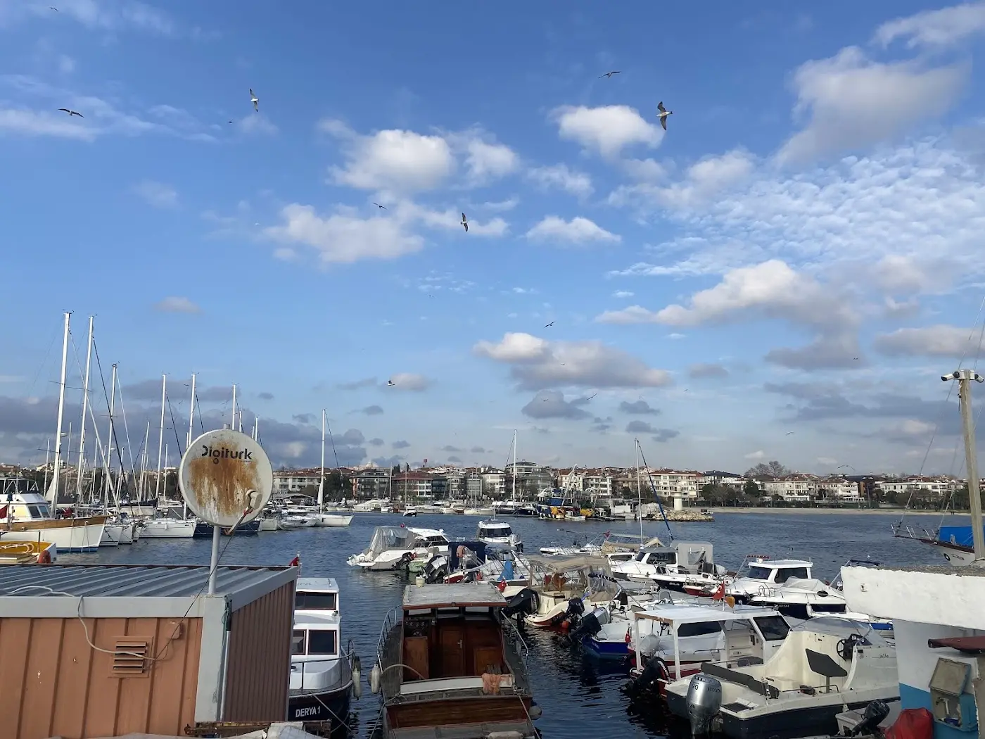 Marina Club Yeşilköy