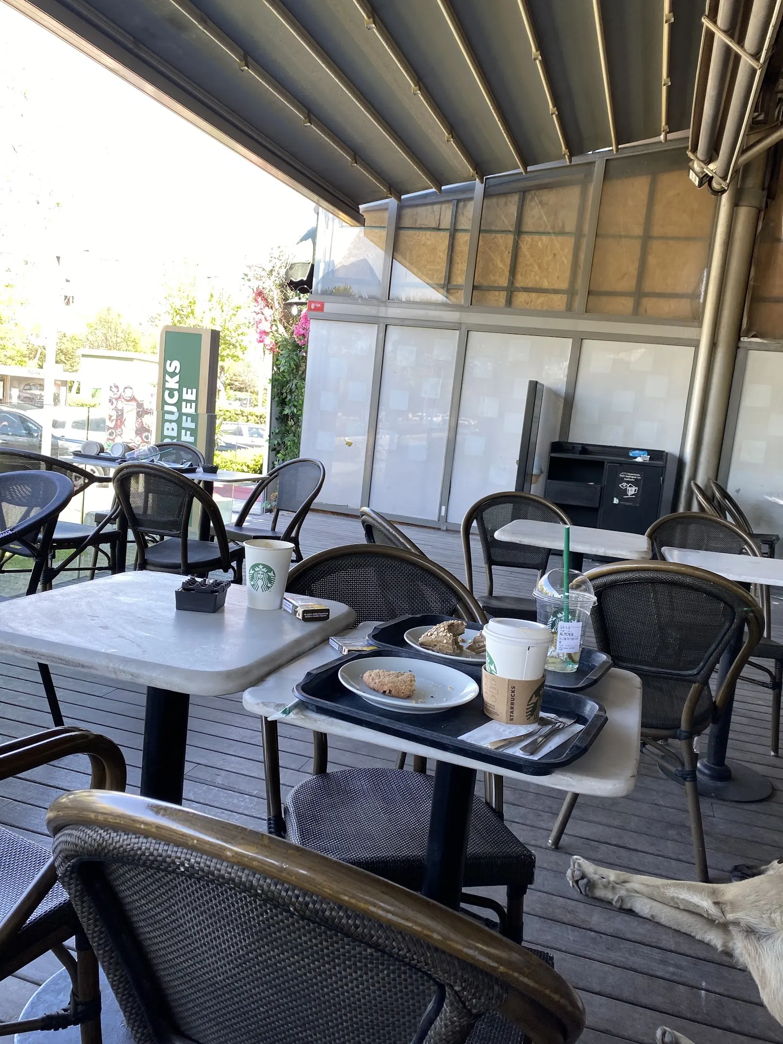 Starbucks