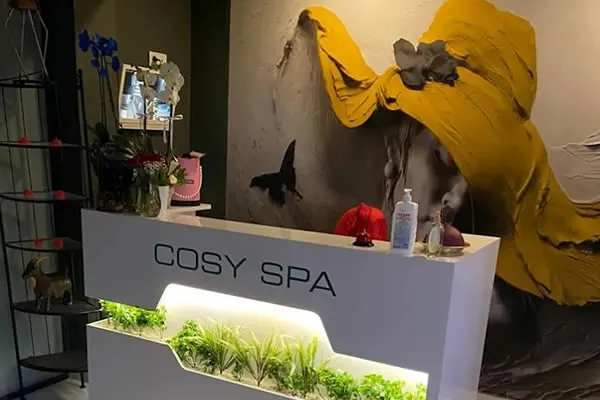 Cosy Spa fotoğraf 2