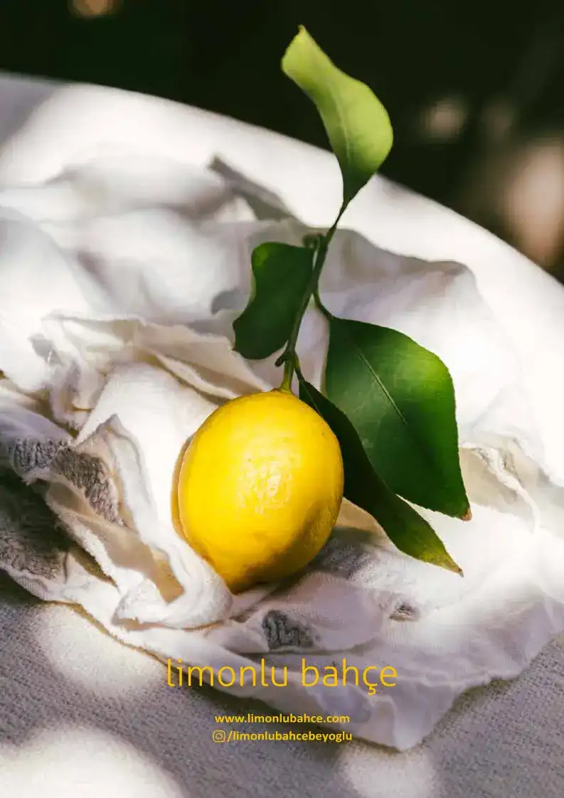Limonlu Bahçe fotoğraf 3