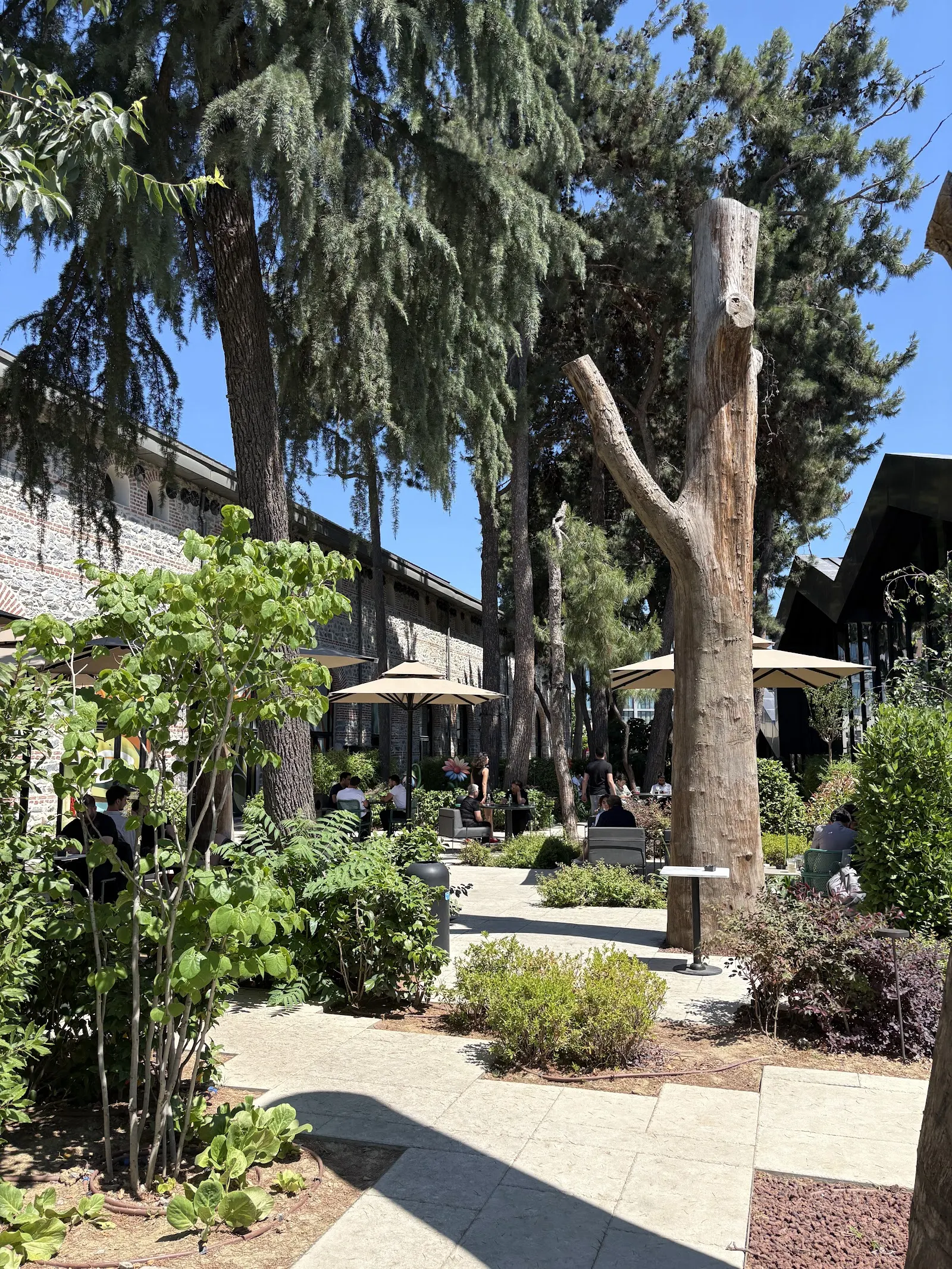 Starbucks fotoğraf 3