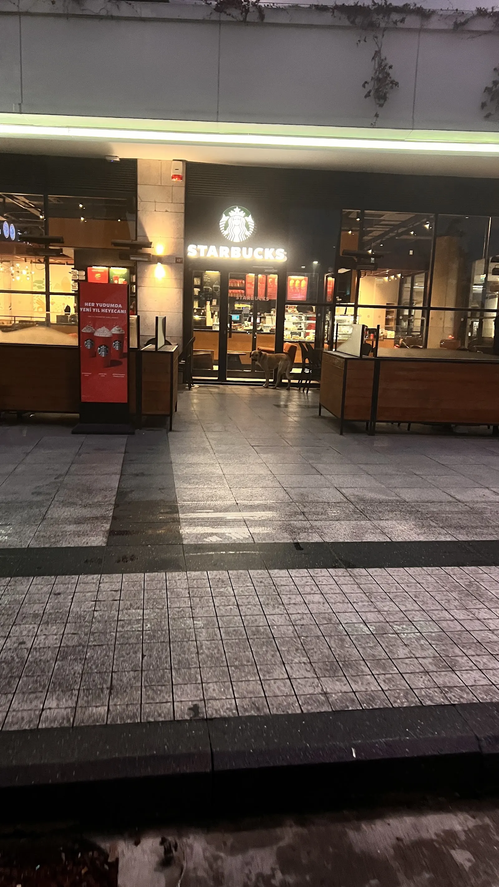 Starbucks şikayeti var mı?