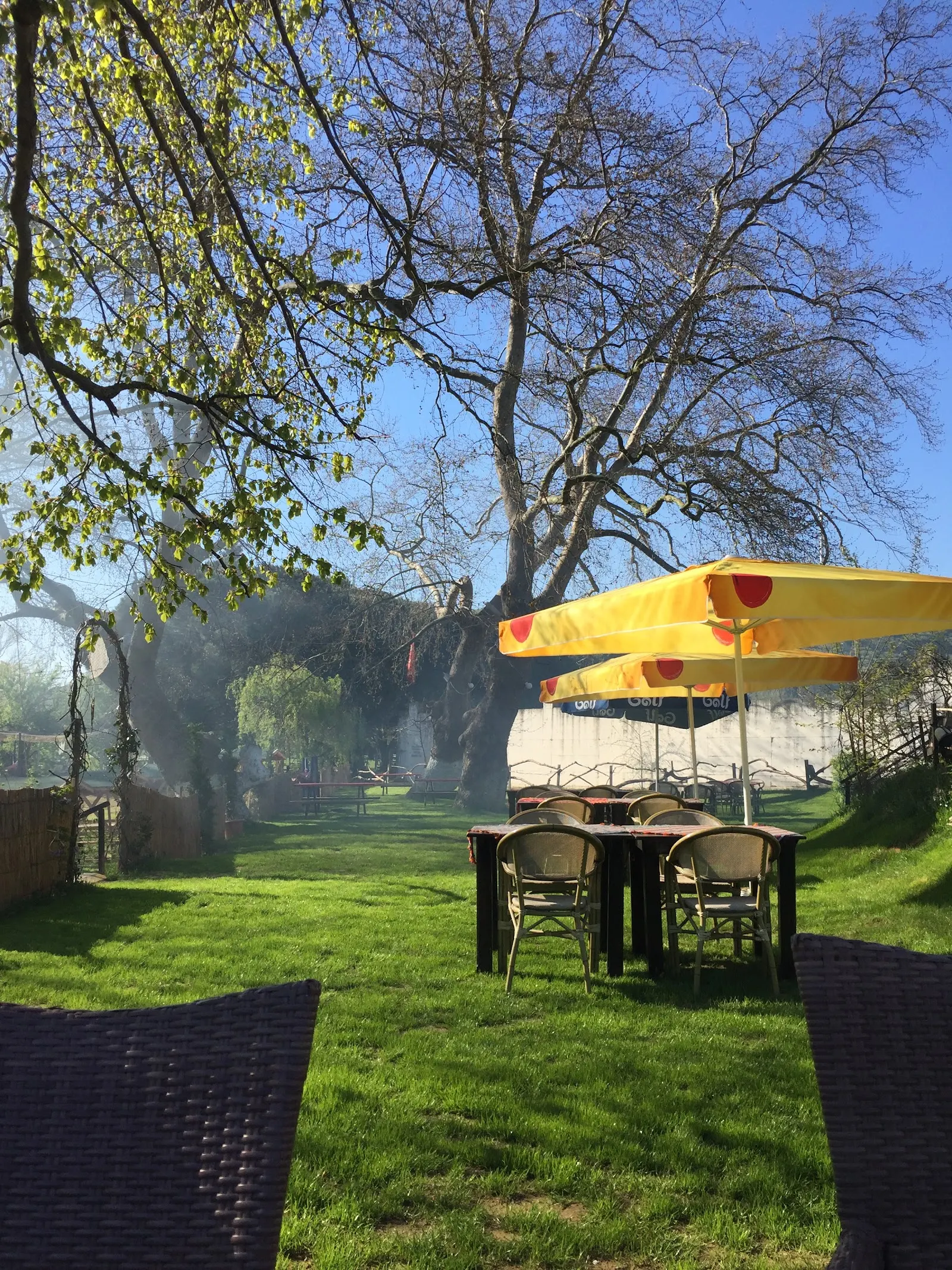 Çatalca Tarihi Çınaraltı Kahvaltı & Mangal - Piknik Alanı & Restaurant