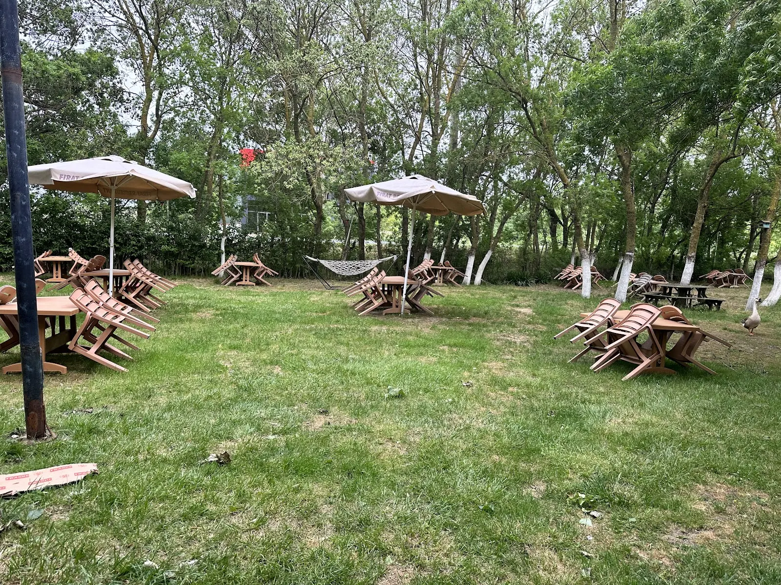 Fırat Restaurant fotoğraf 3