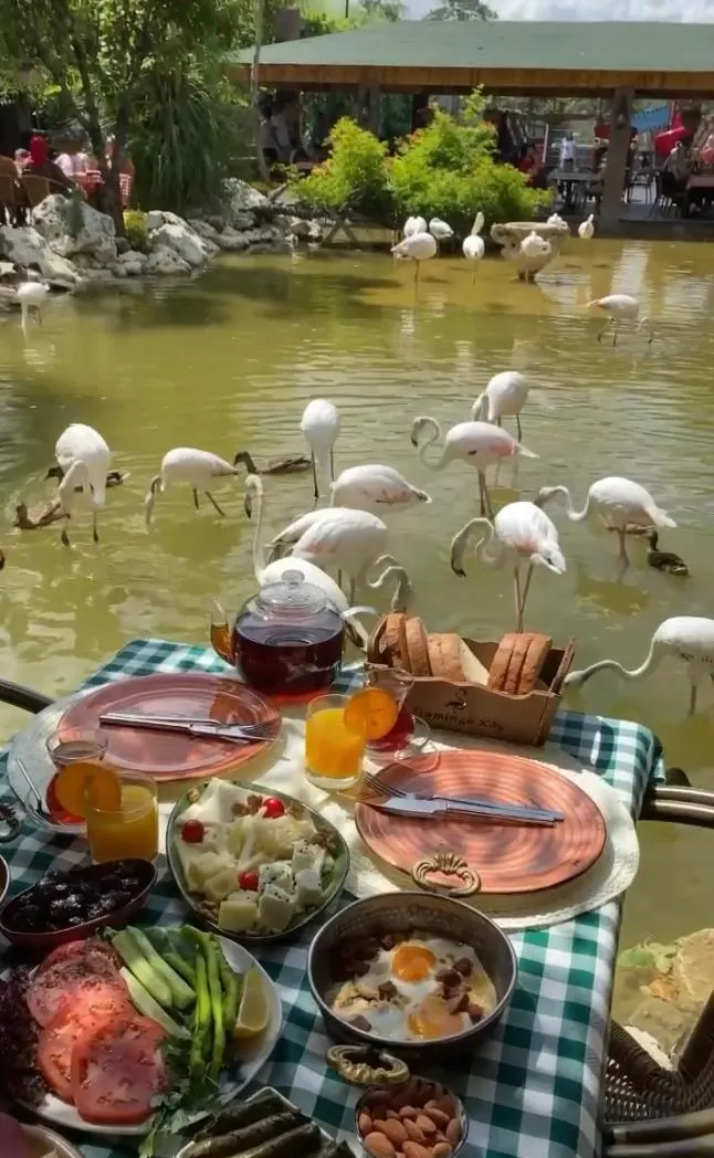 Flamingo Köy fotoğraf 2
