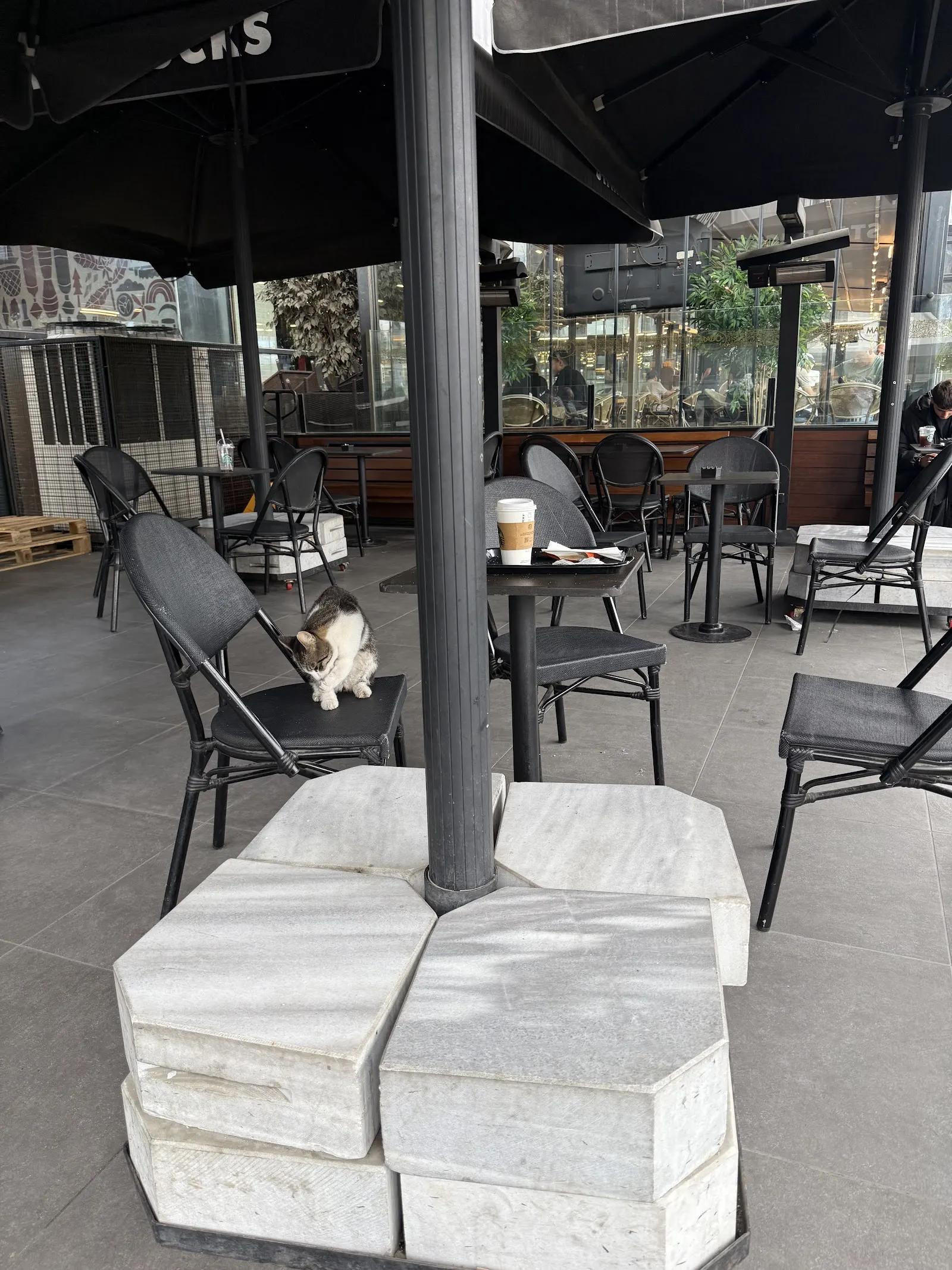 Starbucks yorumları ve müşteri geri bildirimleri