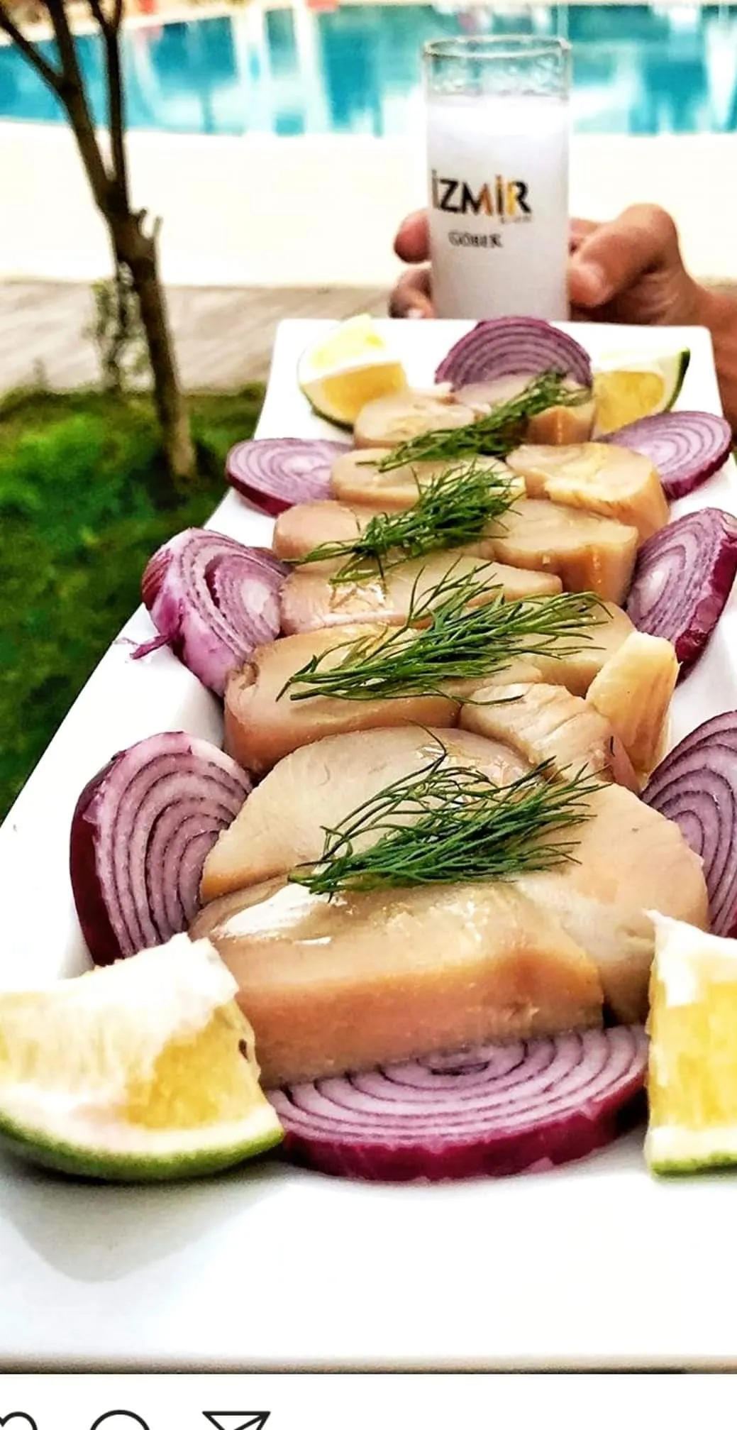 Güney Meyhane fotoğraf 2