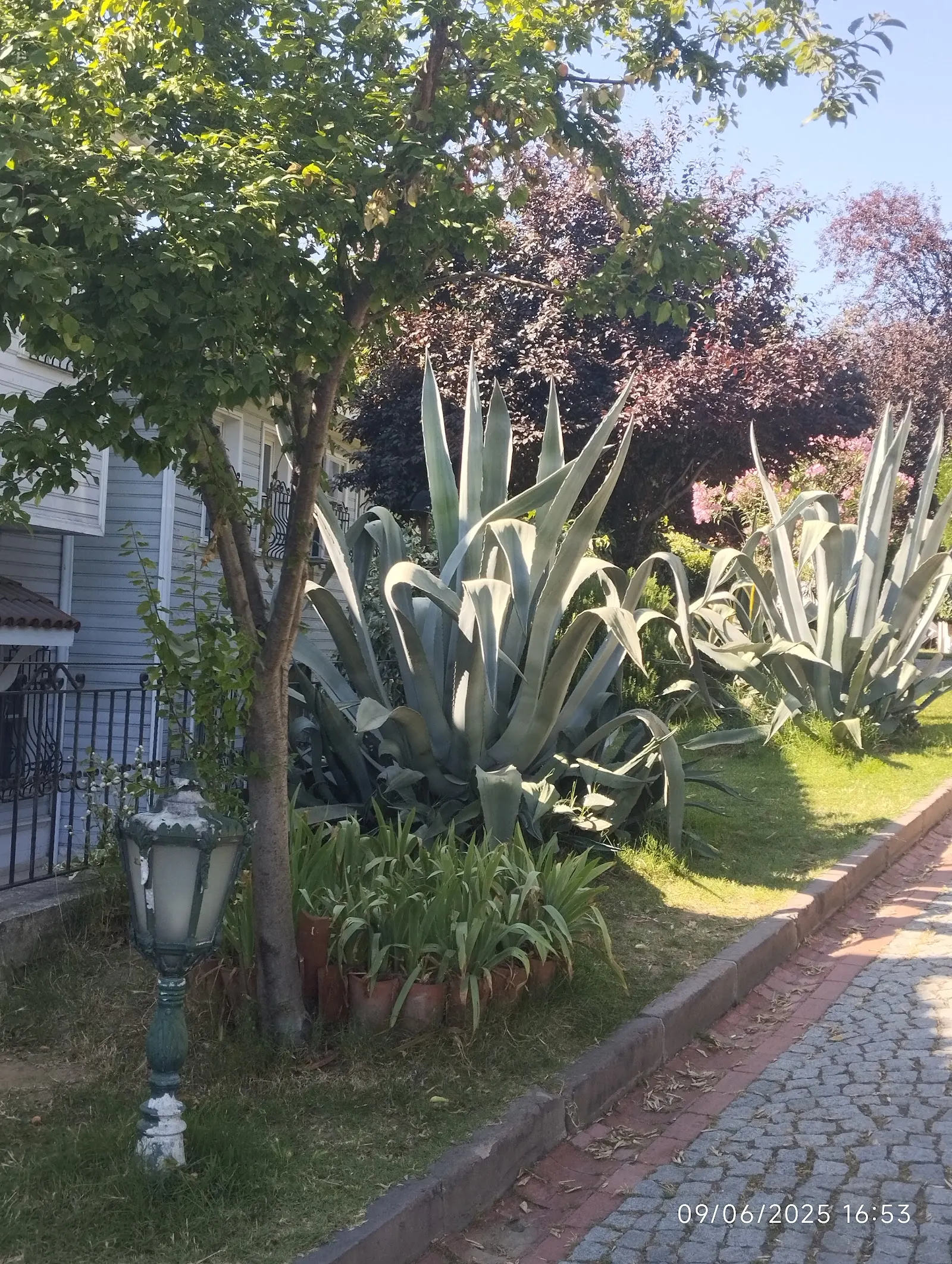 Hamam Sefası Pierreloti fotoğraf 2