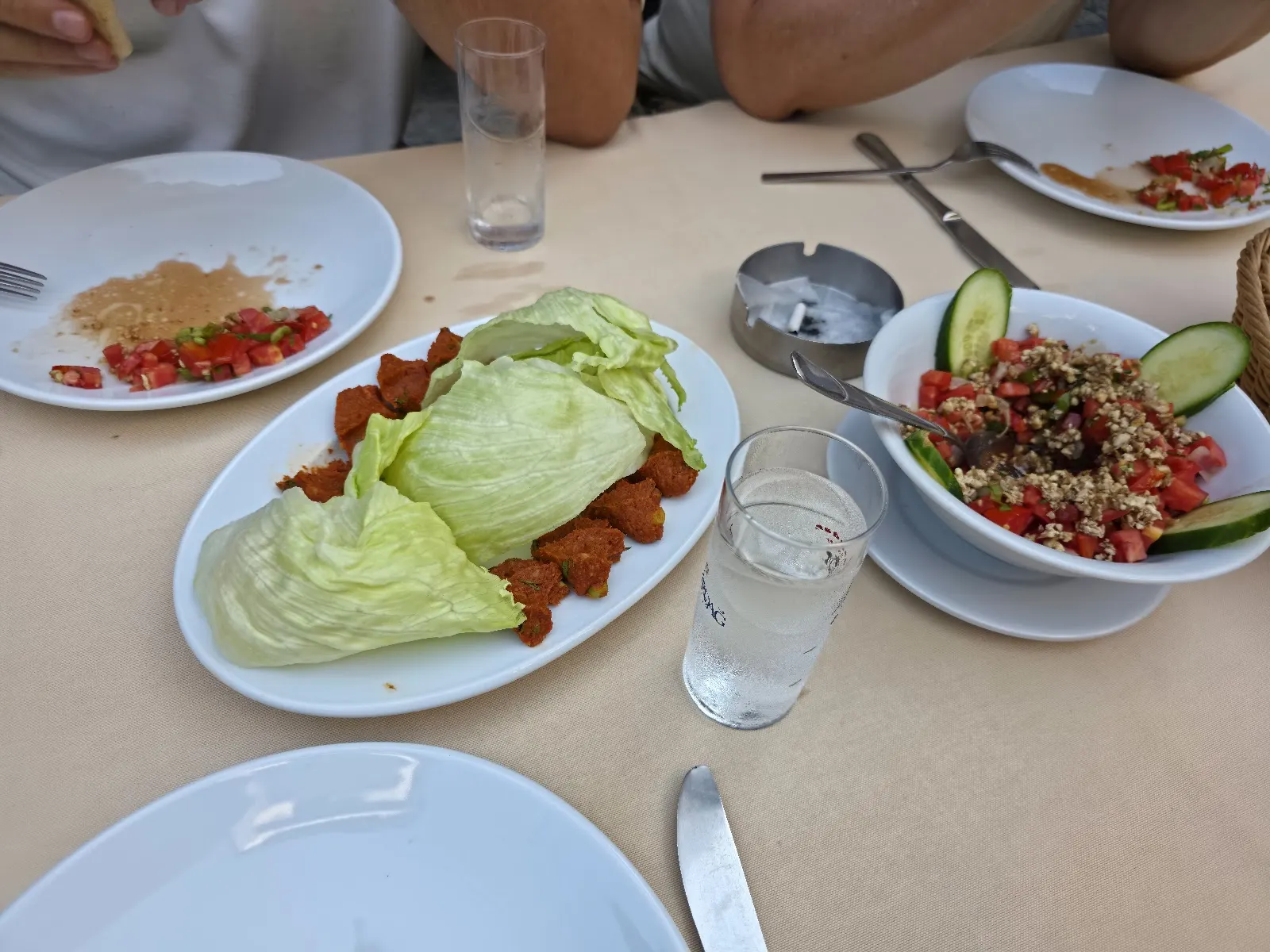 Ali Haydar İkinci Bahar fotoğraf 2