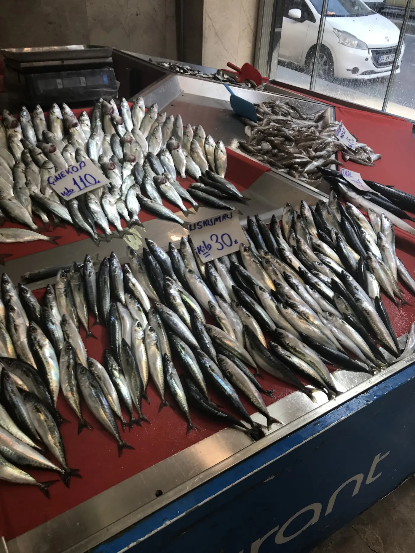 Can Balık Restourant & Market fotoğraf 3