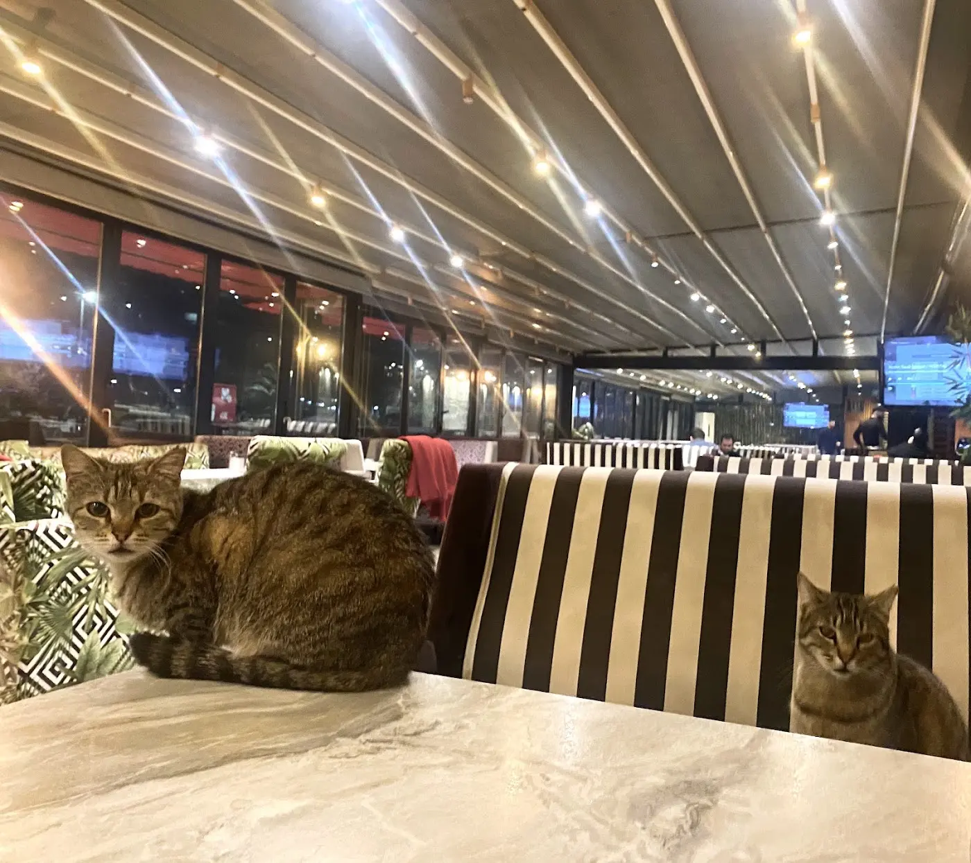 Azade Cafe fotoğraf 1