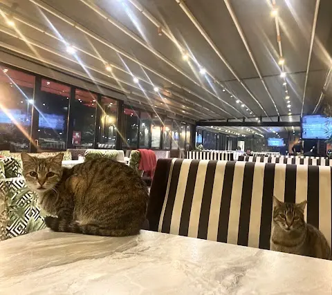 Azade Cafe şikayet & çözüm talebi oluştur
