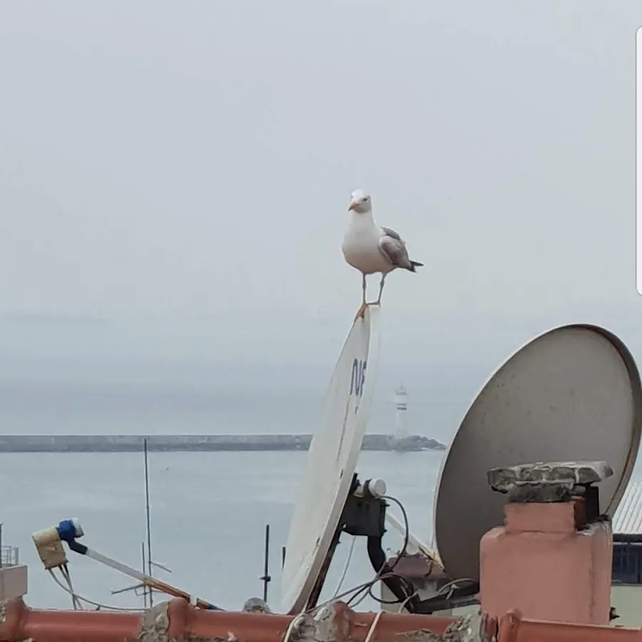 Kadıköy Apart Wish