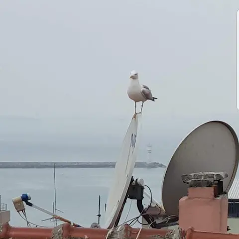 Kadıköy Apart Wish