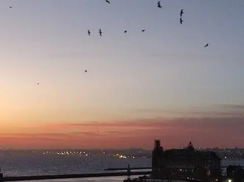 Kadıköy Apart Wish fotoğraf 2