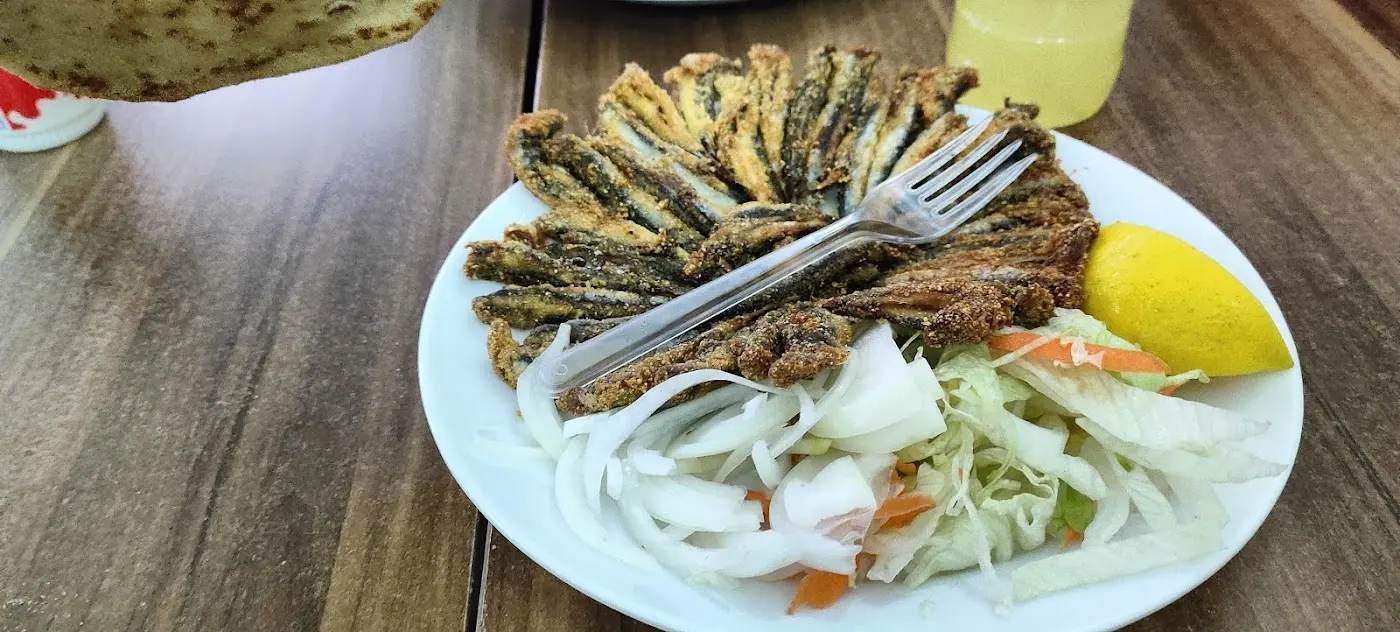 Lahmacun kebap Pide fotoğraf 3