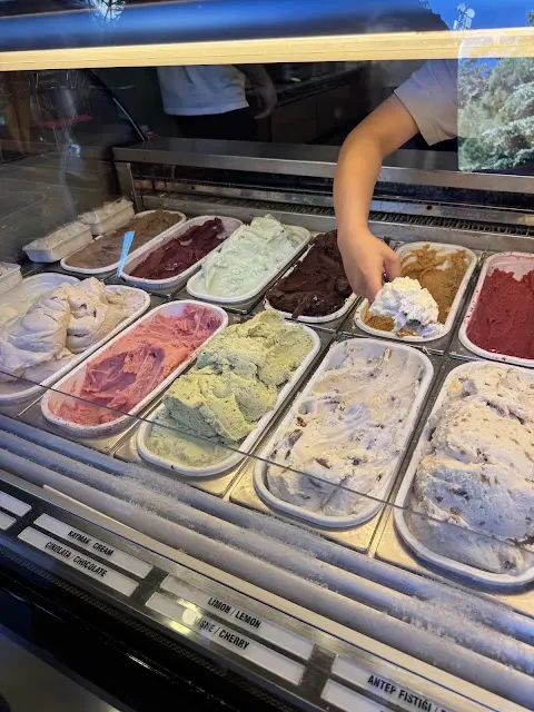 Meşhur Dondurmacı Ali Usta fotoğraf 3