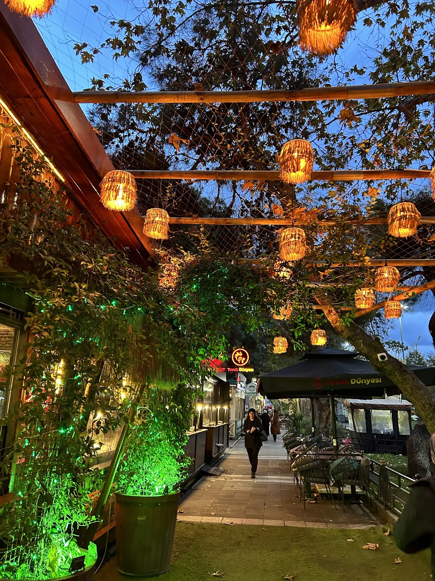 ALIR Cafe | Restaurant fotoğraf 3