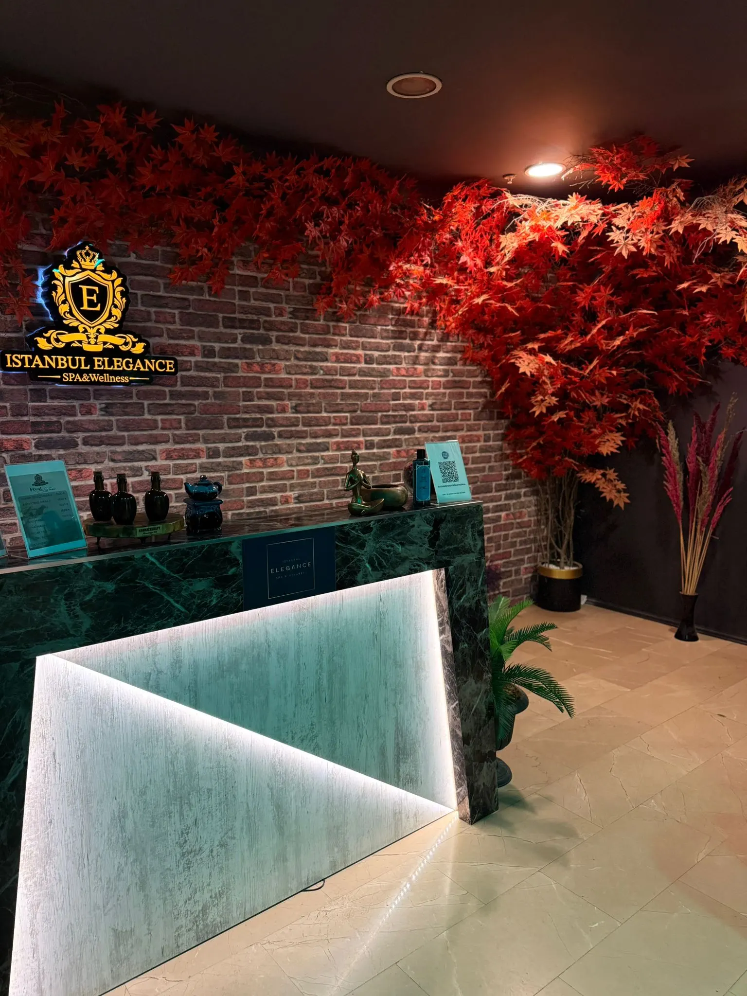 İstanbul Elegance Kartal Spa & Wellness fotoğraf 2