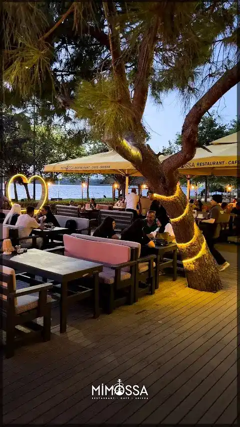 Mimossa Cafe