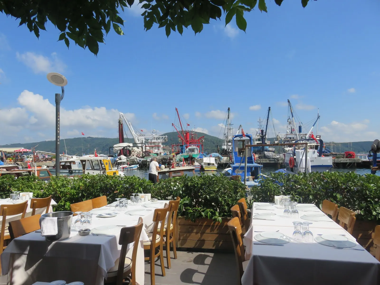 Aquarius Balık Sarıyer