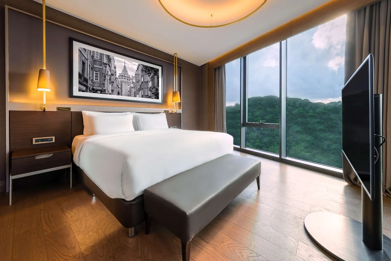 Radisson Collection Hotel, Vadistanbul fotoğraf 2