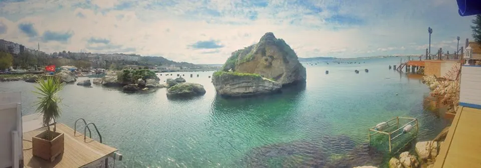 Marin Balık fotoğraf 3
