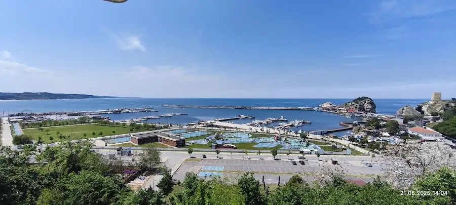 Vanilya Sile fotoğraf 3