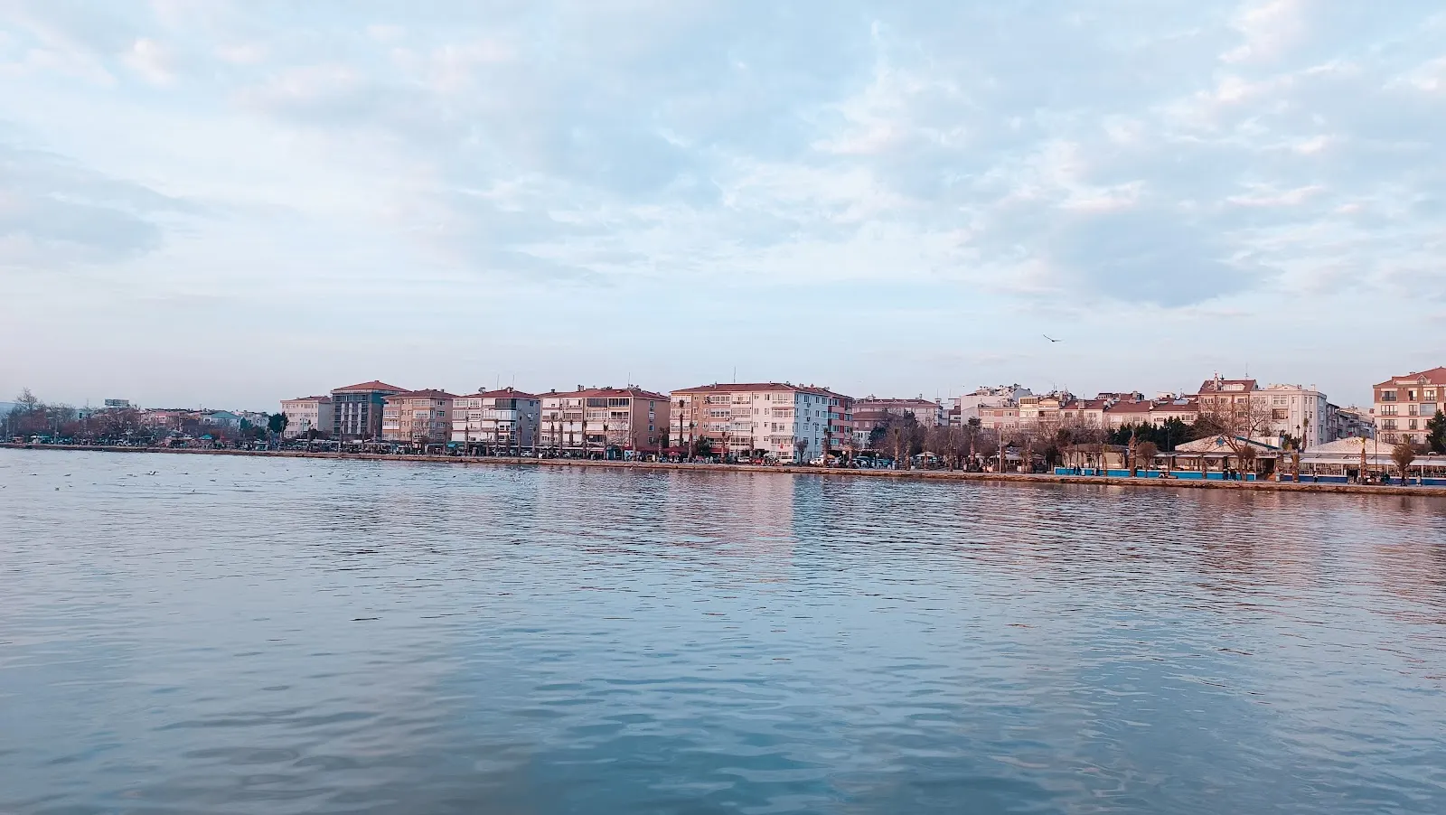Amiral Cafe fotoğraf 3