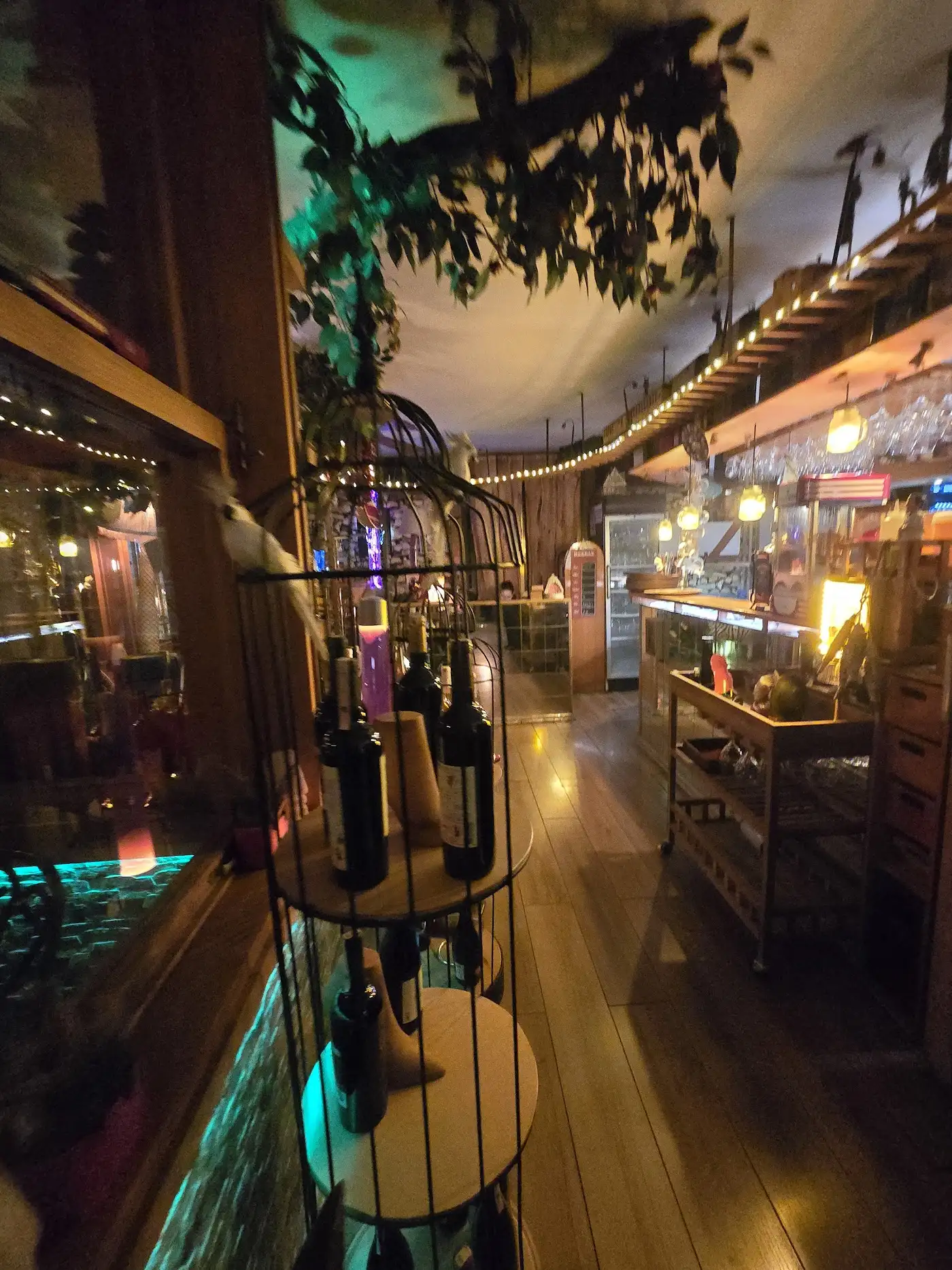 Garden Cafe fotoğraf 3
