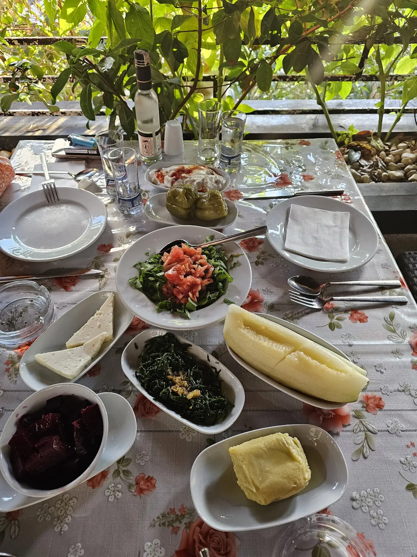Madam Despina fotoğraf 2