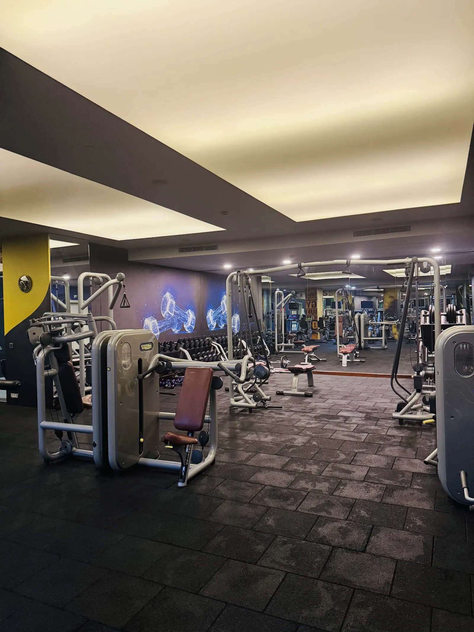 Sunaria Spa & Fitness Holiday Inn fotoğraf 2