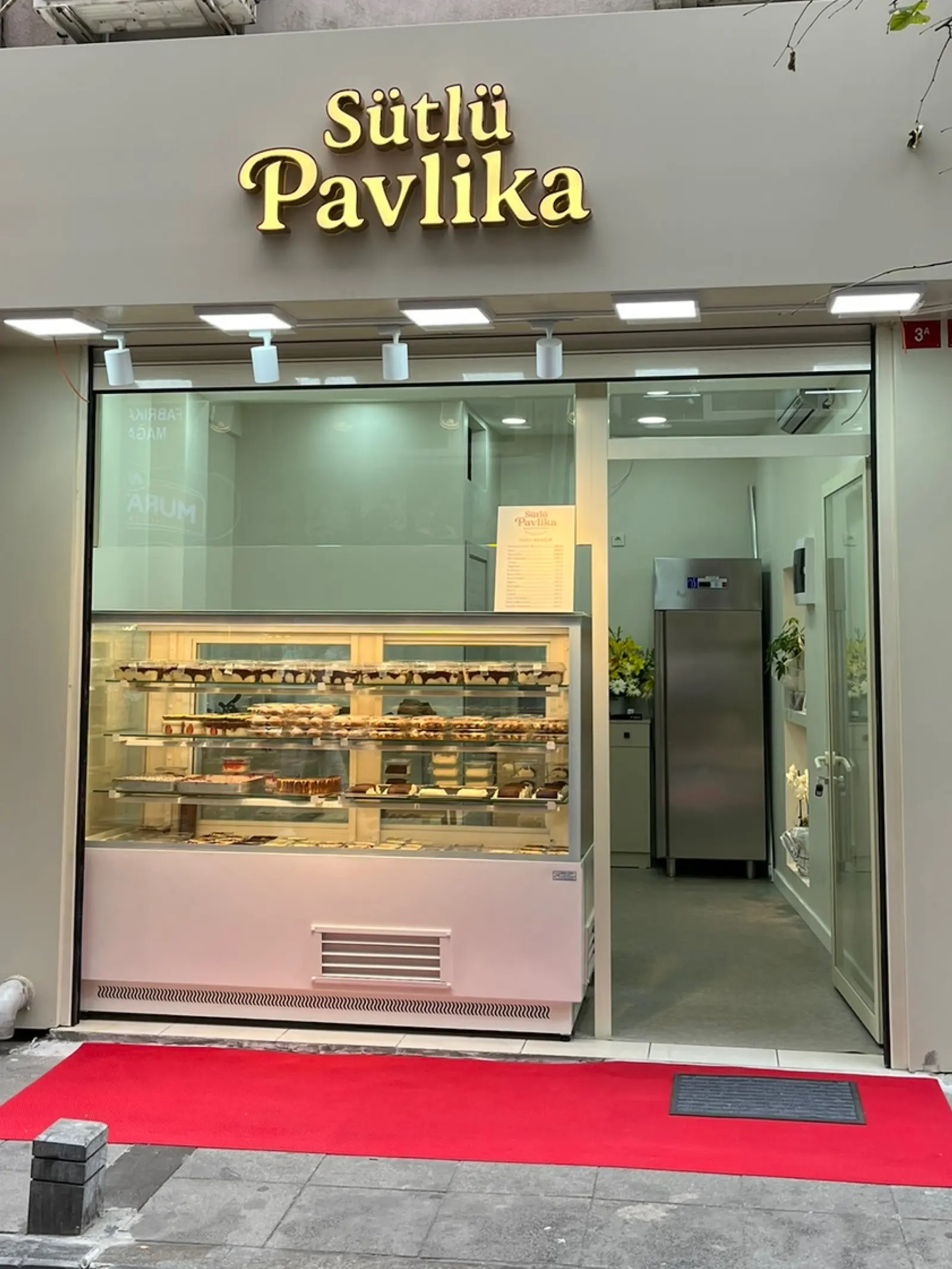 Sütlü Pavlika