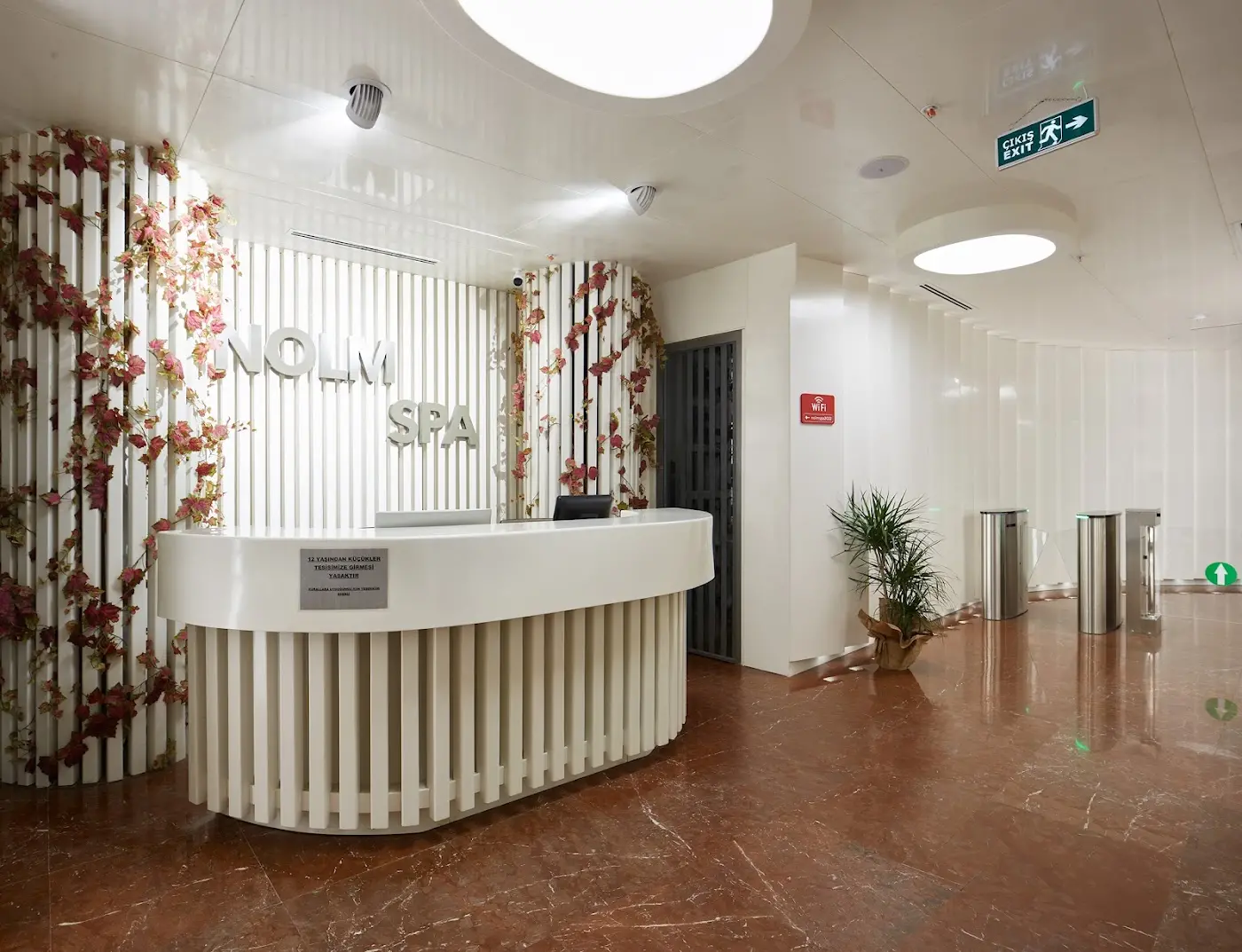 NOLM SPA