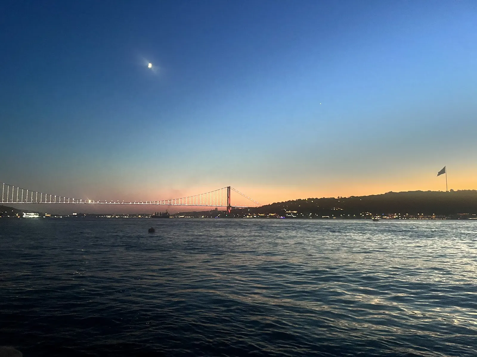 Chacha Balık fotoğraf 3