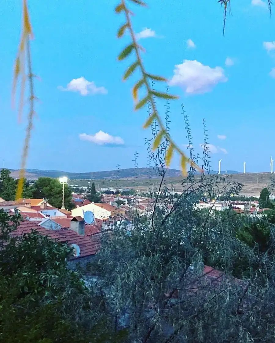 Agrilia Restaurant fotoğraf 3