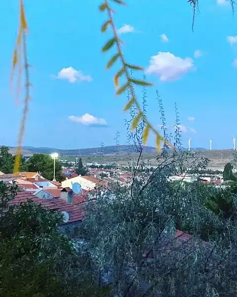 Agrilia Restaurant fotoğraf 3