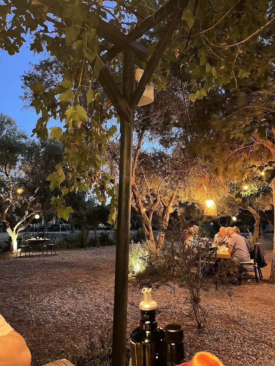 Alaçatı Zeytin Tarla fotoğraf 3