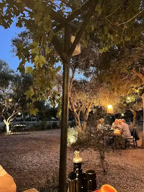 Alaçatı Zeytin Tarla fotoğraf 3