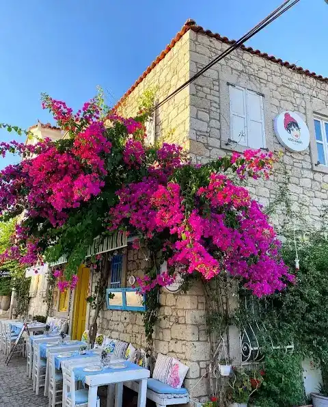 Azize Alaçatı Meyhanesi fotoğraf 3