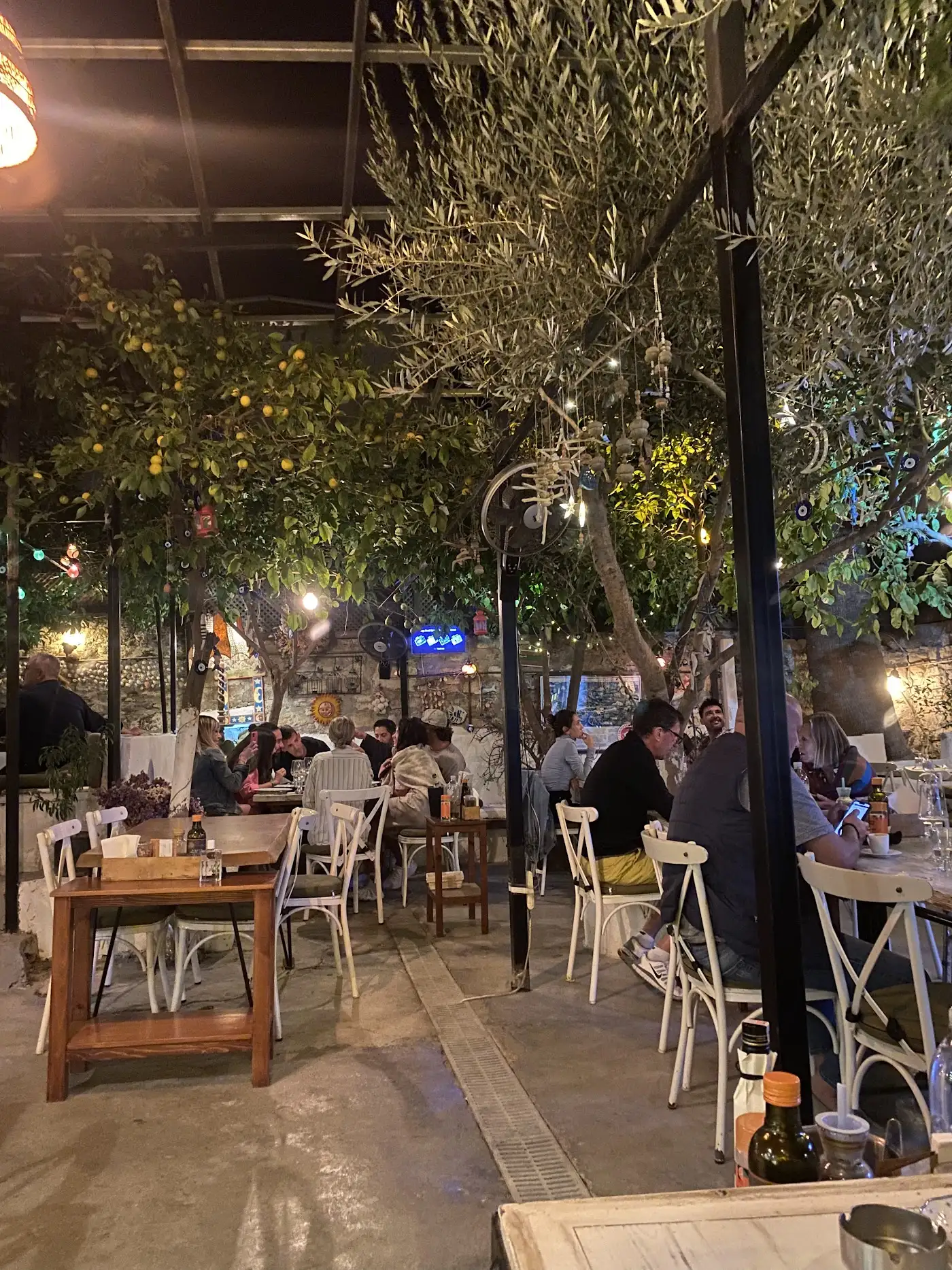 Horasan Balık