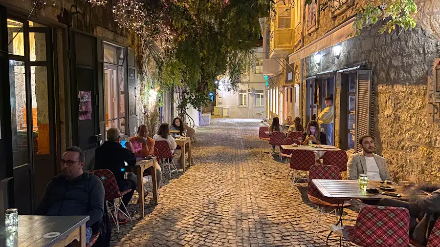 Kırmızı Ardıç Kuşu