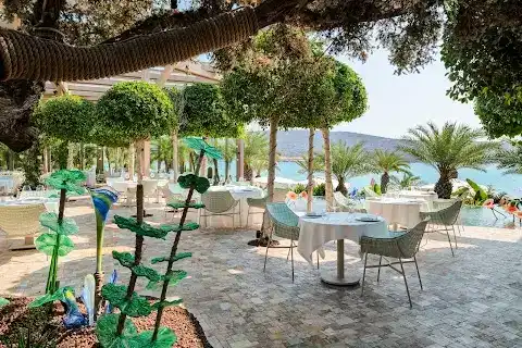 Miso Meze & Balık