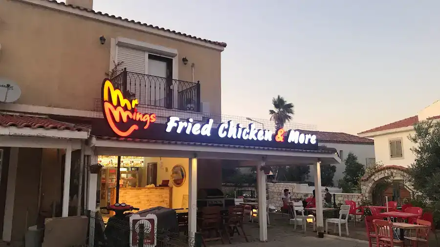 Mr.Wings Fried Chicken