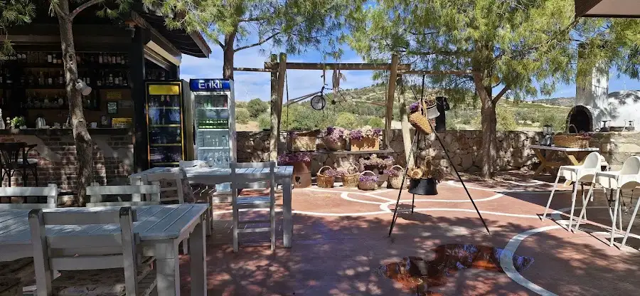 Noni's House