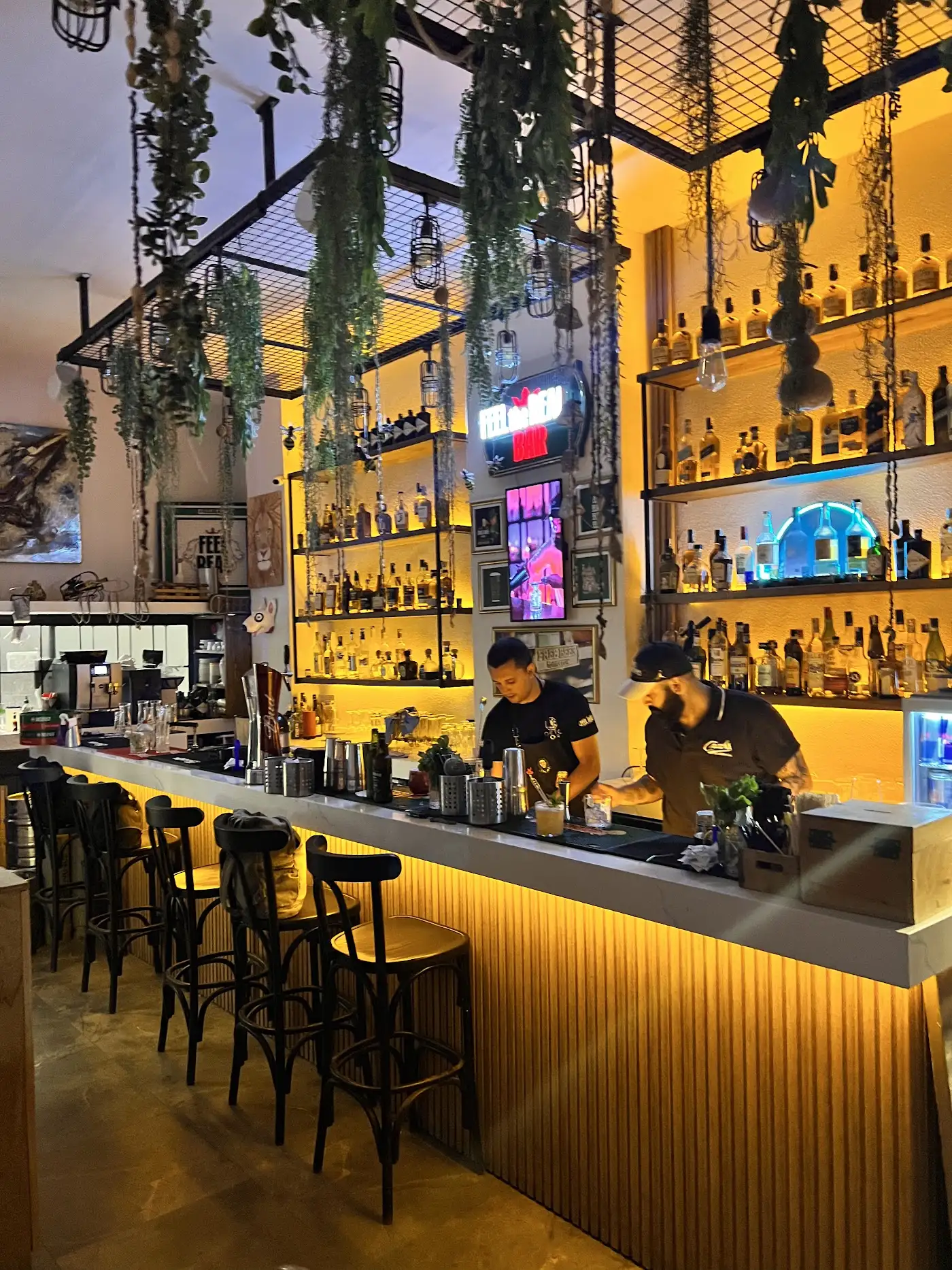 OCTOBAR ALAÇATI
