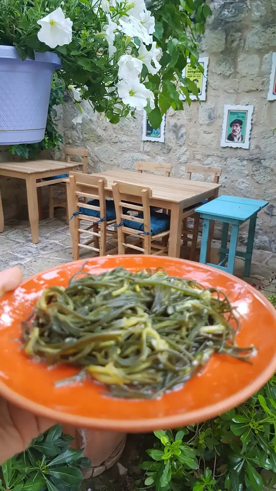 Salkım Söğüt Alacatı fotoğraf 2